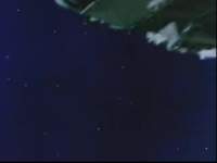 3024495 B