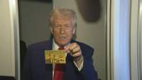 82642 B
