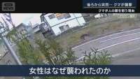 385137 B