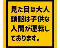 82597 B