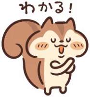 20748 B