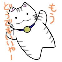 11992 B