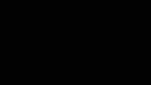 2612529 B