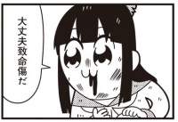 25557 B