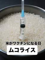 114554 B