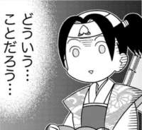 65816 B