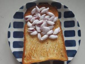93365 B