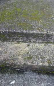 265762 B